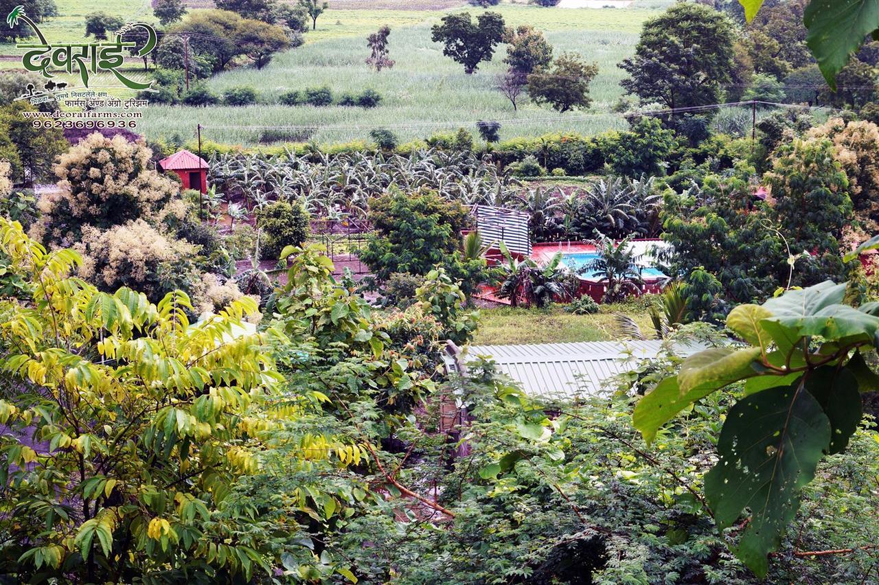 Deorai Farms And Agro Resort Pune Dış mekan fotoğraf